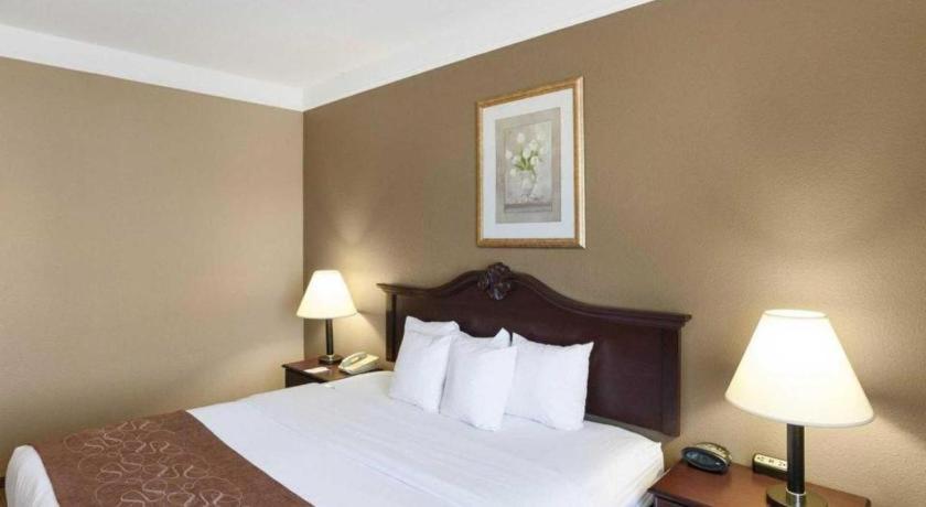 Comfort Suites Plainview Bagian luar foto